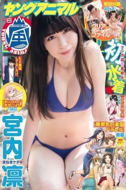 爱在青山绿水间 电视剧